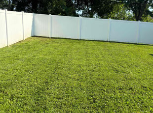Binoy R.'s turf care service result