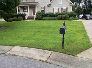 Alex C.'s turf maintenance service result