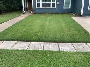 Marita B.'s lawn care services service result