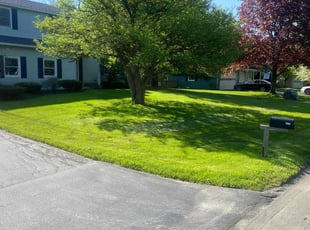 Craig O.'s grass cutting service result