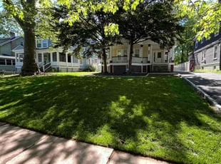 Michele M.'s grass cutting service result