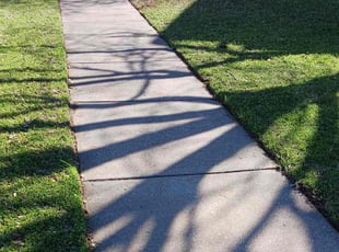 Joann C.'s lawn service service result