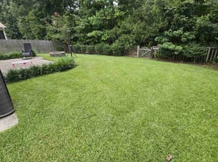 Lorraine G.'s turf maintenance service result