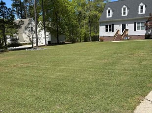 Rebecca P.'s lawn service service result