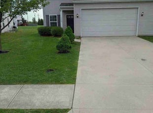 Ivy W.'s grass cutting service result