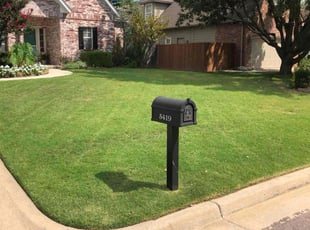 Deserae L.'s grass cutting service result