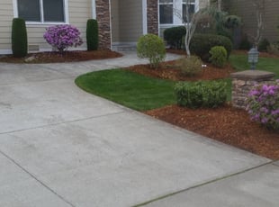 Lucy M.'s Bush Trimming service result