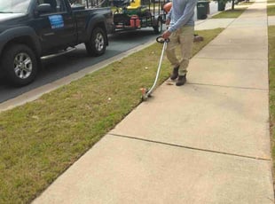 Guadalupe C.'s turf maintenance service result