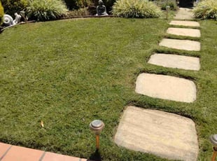 Cathie S.'s lawn maintenance service result