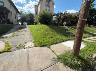 Nick N.'s lawn care service result