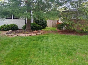 Joseph S.'s lawn maintenance service result