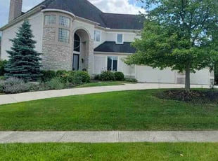 Alex R.'s lawn service service result