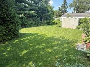 Lenore A.'s lawn care service result