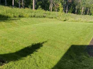 Jason P.'s turf care service result