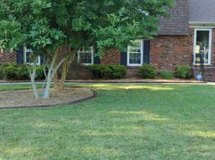 Angela J.'s lawn care service result