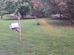 Sue D.'s turf care service result