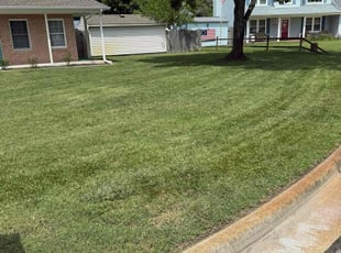 Richard I.'s grass maintenance service result