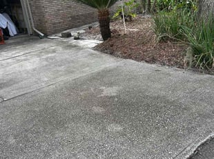 Suah K.'s turf maintenance service result