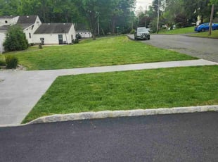 John C.'s turf care service result