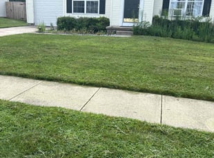 Paul H.'s grass maintenance service result