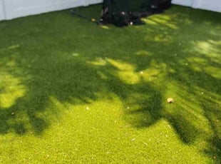 Josephine G.'s lawn care services service result