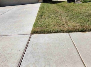 James A.'s lawn care services service result