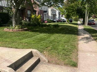 Melanie M.'s lawn maintenance service result