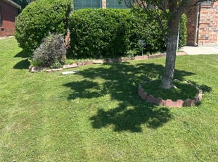 Elizabeth B.'s Bush Trimming service result