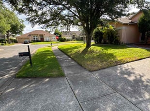 Billy B.'s lawn care services service result