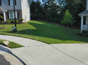 Martin W.'s grass cutting service result