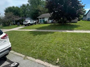 Craig S.'s lawn service service result