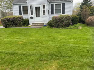 Reggie -.'s turf care service result