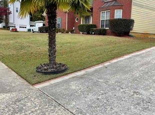 Cynthia M.'s grass cutting service result