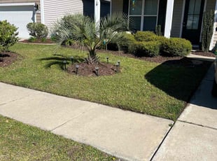 Michael M.'s yard care service result