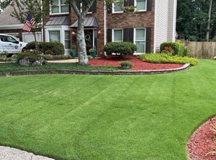 Taylor F.'s lawn service service result