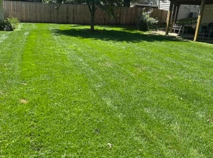 Liam S.'s lawn care service result