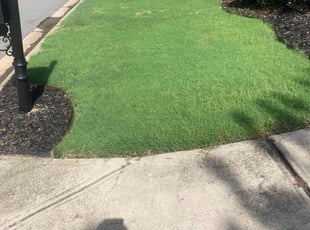 Attri D.'s turf maintenance service result