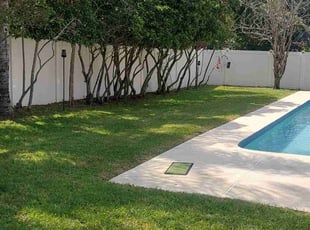 Jesse M.'s lawn maintenance service result