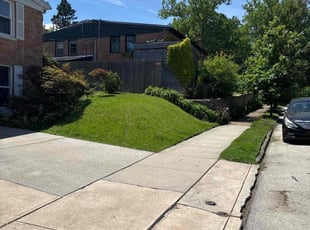 David W.'s grass maintenance service result