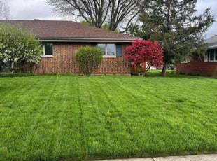 Michael E.'s turf maintenance service result