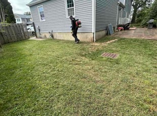 Breanna E.'s grass cutting service result