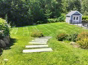 Pj M.'s grass maintenance service result