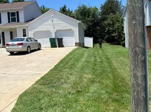 Tamara M.'s turf care service result
