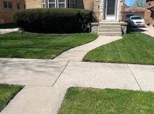 Brian S.'s grass cutting service result