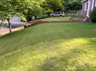 Edward K.'s lawn maintenance service result