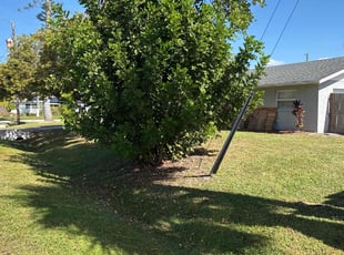 Nilanjan B.'s grass maintenance service result