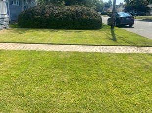 Pradeep R.'s lawn maintenance service result