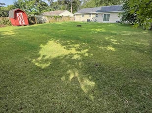 Miranda N.'s yard work service result