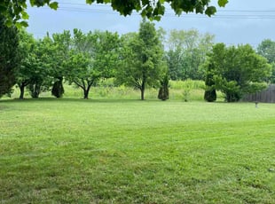 Jefferey A.'s lawn care service result