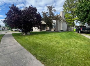 Jason D.'s lawn care service result